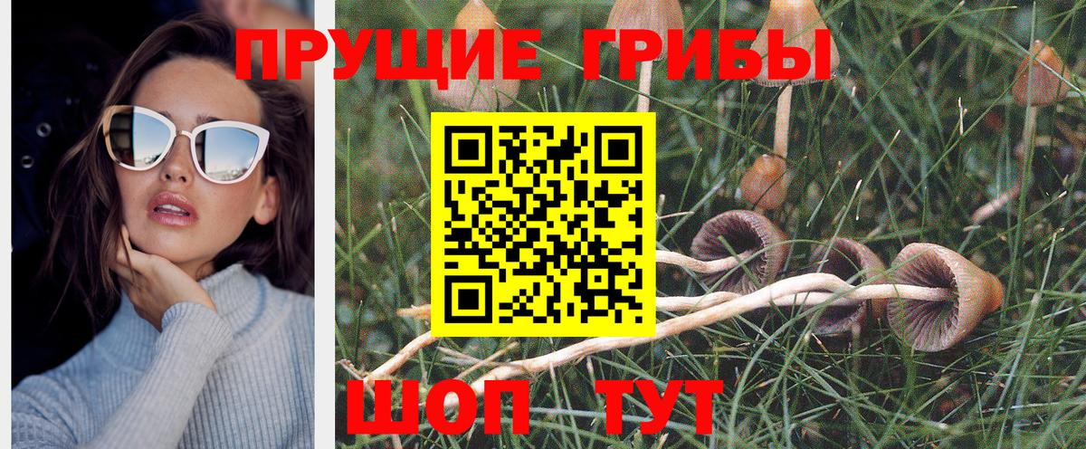 Галлюциногенные грибы MAGIC MUSHROOMS Балашиха